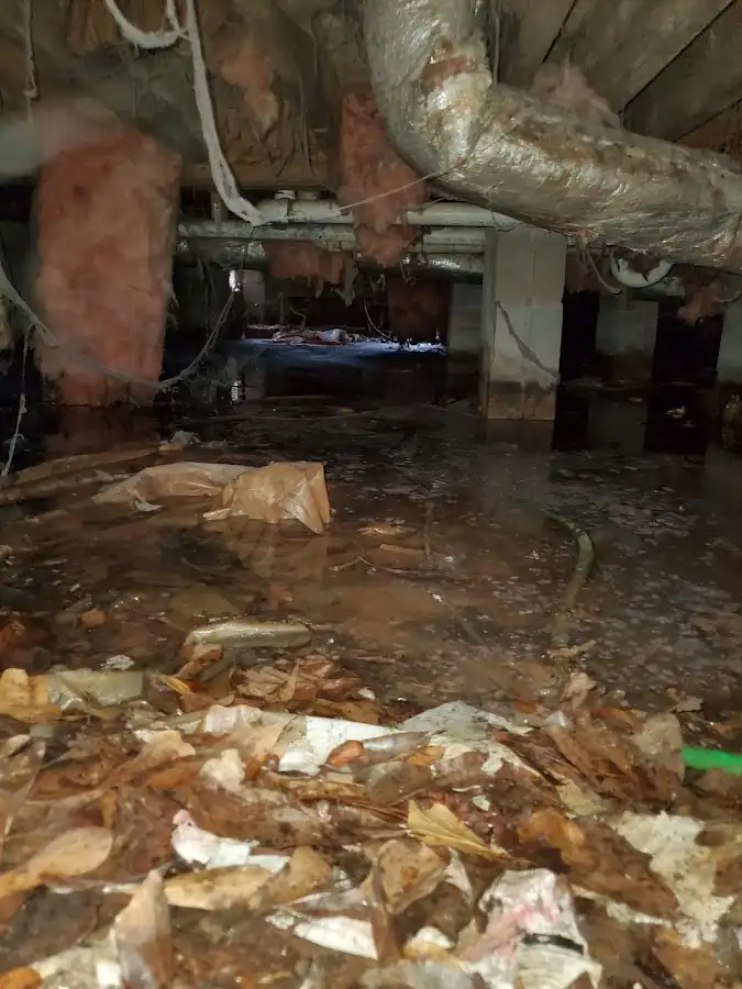 Crawl space flood assessment for Leak Detection & Repair in Boca Raton